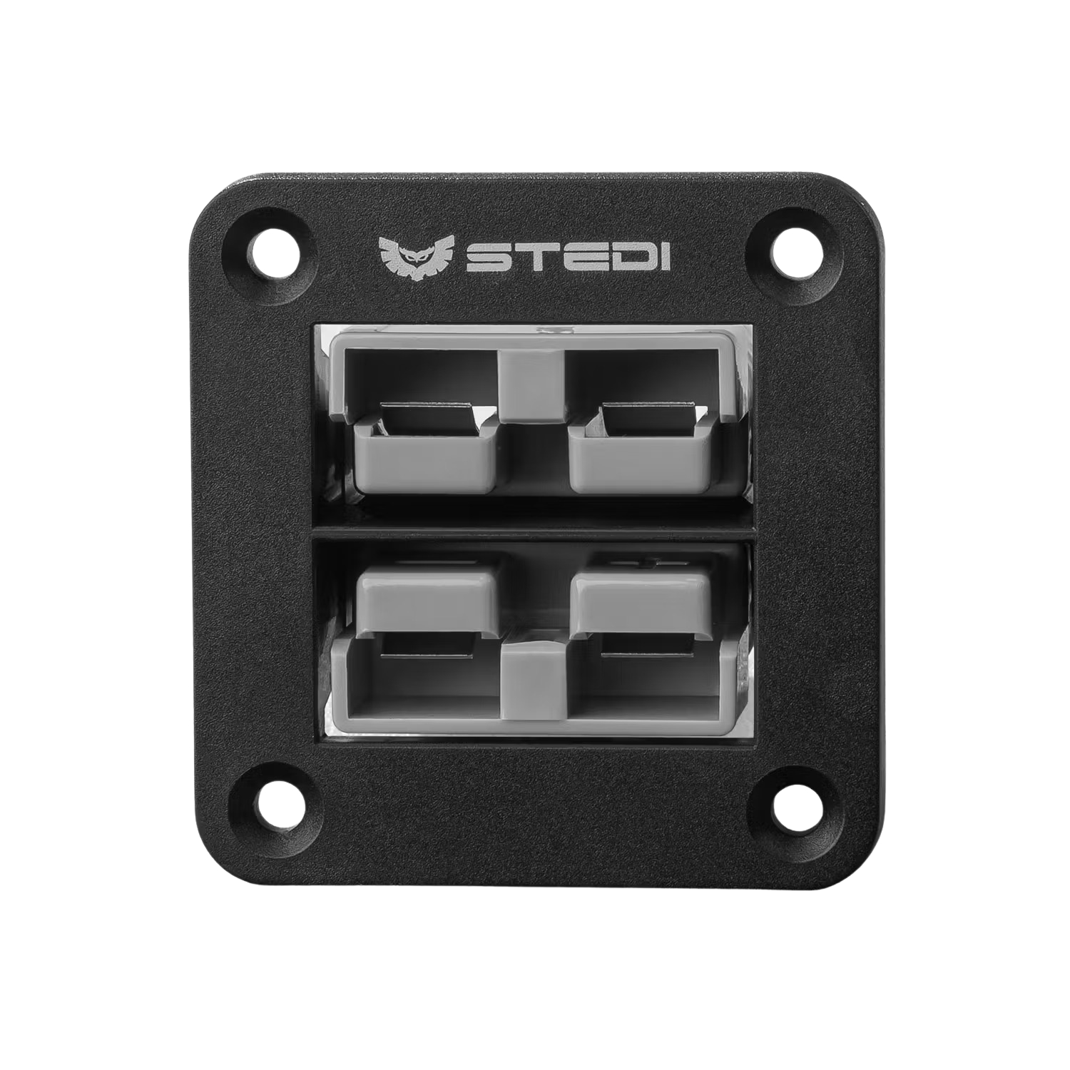 TWIN ANDERSON STYLE FLUSH MOUNT