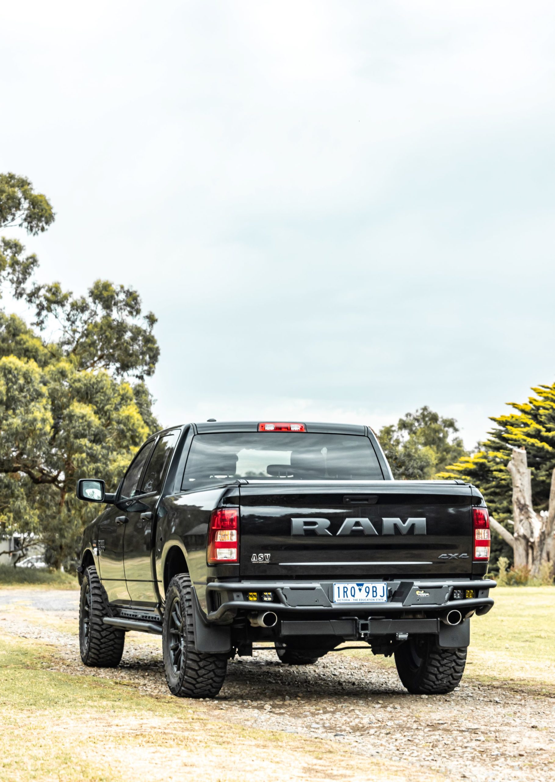 RAM 1500 DS REAR PROTECTON BAR