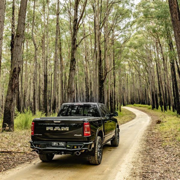 RAM 1500 DT REAR PROTECTON BAR