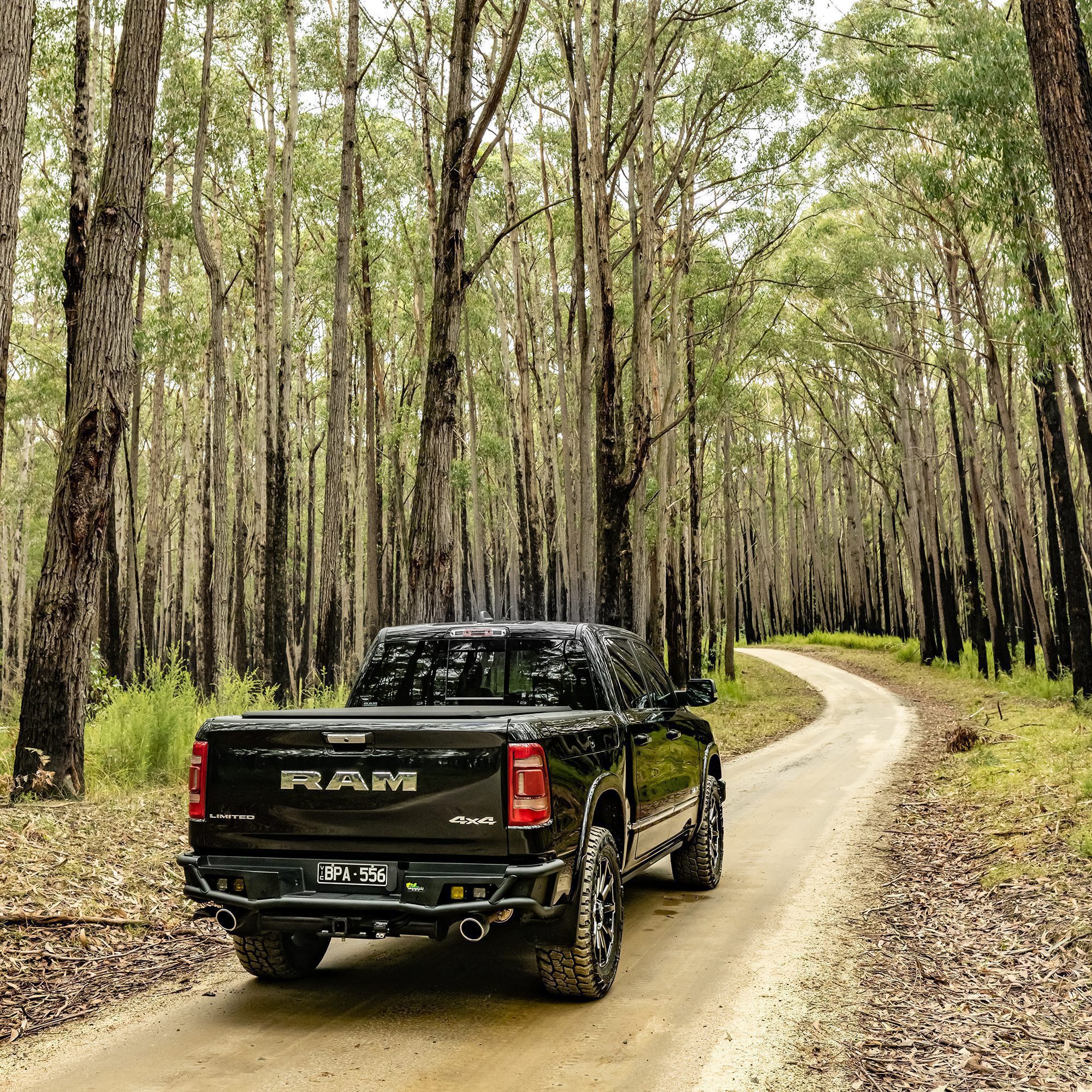 RAM 1500 DT REAR PROTECTON BAR