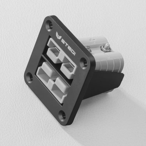 TWIN ANDERSON STYLE FLUSH MOUNT