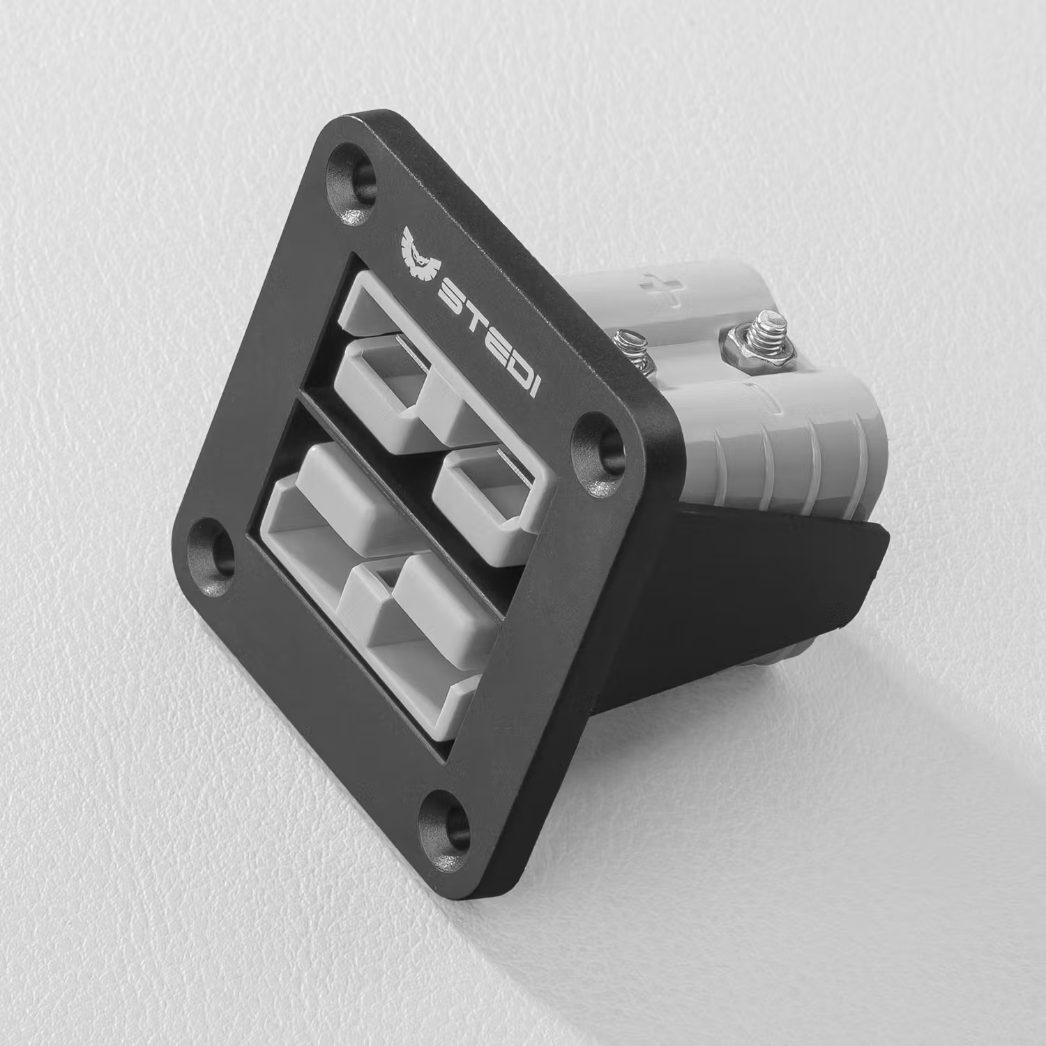 TWIN ANDERSON STYLE FLUSH MOUNT
