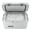 Patrol Insulated ice chest 20 MIST - Image 2