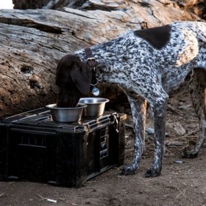 WOLF PACK – BY FRONT RUNNER